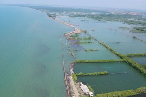 Imbas banjir rob di Pemalang