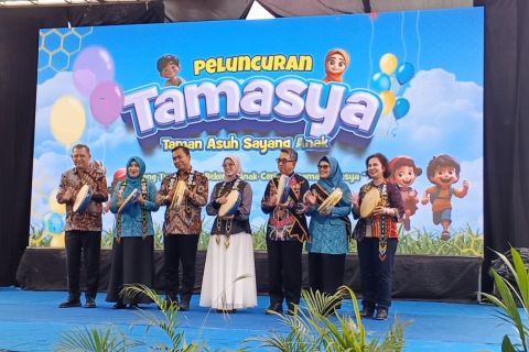 Mendukbangga luncurkan layanan asuh Tamasya untuk orang tua bekerja