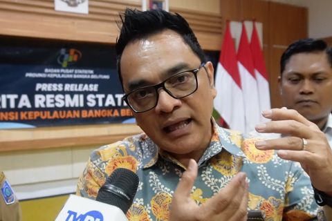 Pengangguran di Babel naik, TPT Februari 2025 capai 4,17 persen