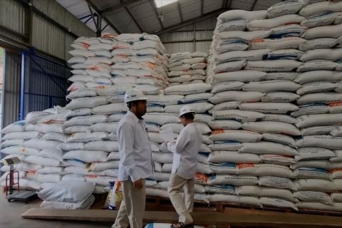 Cadangan beras RI bakal capai 4 juta ton, terbesar sepanjang sejarah