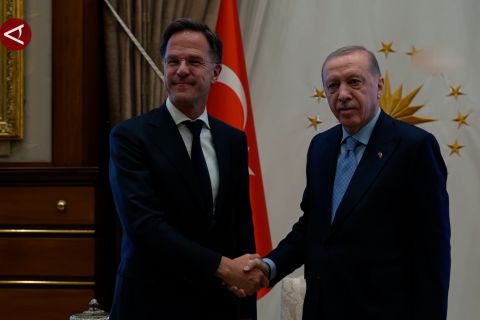 Kepada NATO, Erdogan tegaskan dukung gencatan senjata Rusia-Ukraina