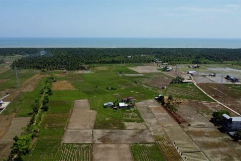 Kompi Produksi Kodim/1201 siapkan lahan dukung ketahanan pangan
