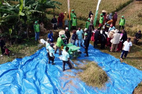  Produksi tinggi, pertanian terlindungi
