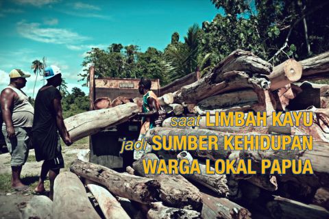 Saat limbah kayu jadi sumber kehidupan warga lokal Papua