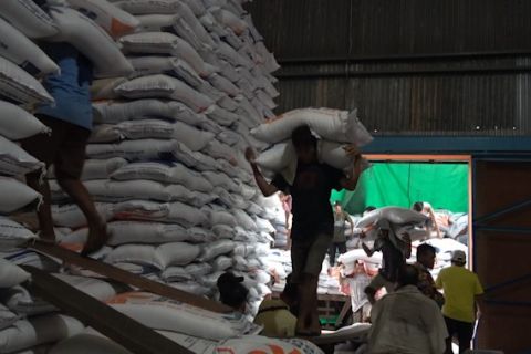 Bulog Sumsel Babel isi gudang beras di tiga provinsi tetangga