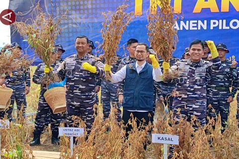 Tekan impor, TNI AL dorong perluasan pertanian kedelai Migo AL 1-89