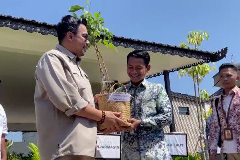 Wamenhut bagi-bagi bibit pohon  untuk tujuh kabupaten kota di Kalsel