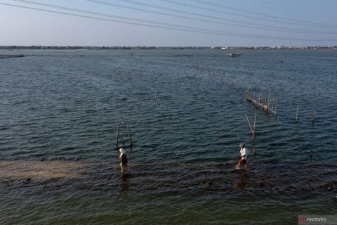 Hasil citra satelit prediksi permukaan air laut akan tenggelamkan pesisir Demak pada 2030