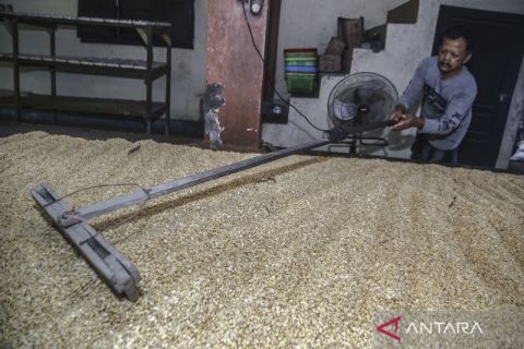 Harga kedelai naik, perajin tempe kurangi produksi hingga 50 persen