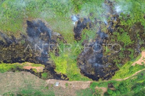 Kebakaran hutan dan lahan di Limapuluhkota