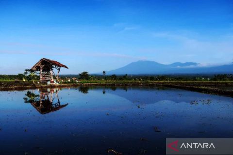 Mengalami erupsi, Gunung Raung berada pada level waspada