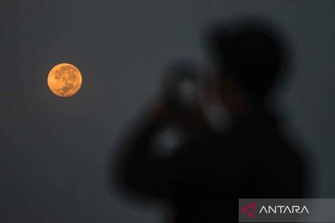 Fenomena Strawberry Moon hiasi langit Malang