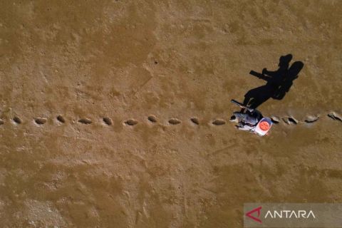 Dorong produksi pertanian, Konawe Selatan mendapatkan kuota penambahan pencetakan sawah baru seluas 1.400 hektare