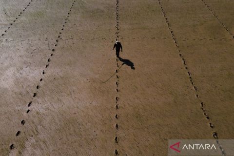 Kuota tambahan cetak sawaj baru di Konsel