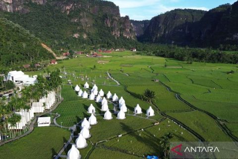 Indahnya kawasan pertanian di Lembah Harau Sumbar dipadukan dengan pariwisata