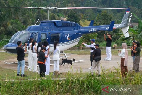 Bali sering kemacetan, wisatawan ke objek wisata Jatiluwih kini disediakan penyewaan helikopter