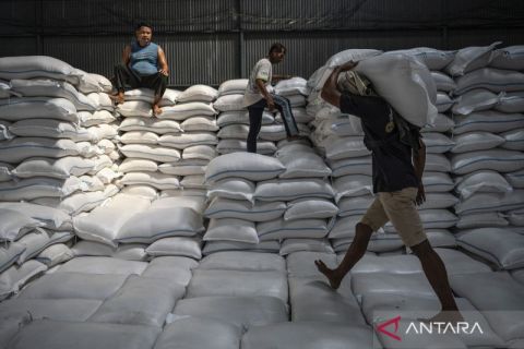Stok cadangan beras pemerintah mencapai  4,15 juta ton