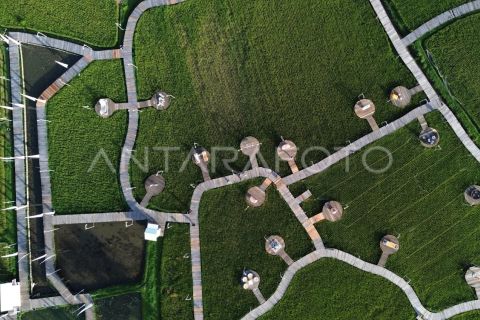 Destinasi wisata berbasis pertanian di Lembah Harau