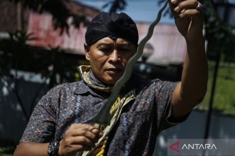 Tradisi jamasan keris pusaka pada bulan Sura di Solo