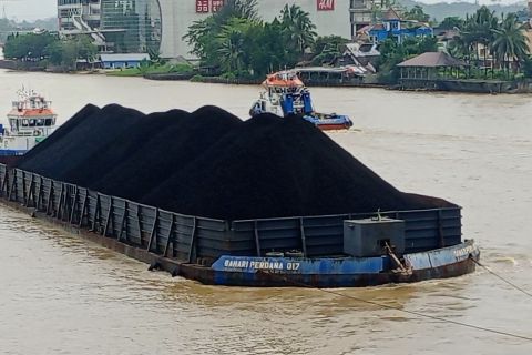 Dampak pelemahan harga batu bara terhadap pertambangan di Kaltim