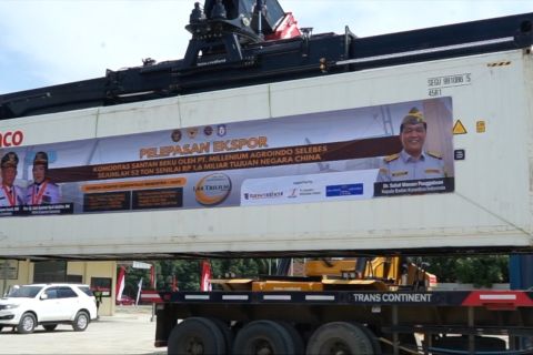 Gorontalo catat ekspor perdana santan kelapa ke China