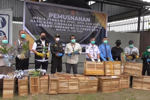 Balai Karantina Sumut musnahkan komoditas ilegal asal Thailand