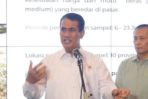 Mentan ungkap penyimpangan besar dalam penjualan beras