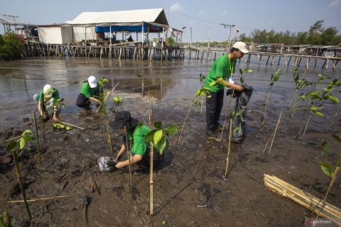 Bulan Cinta Laut diisi kegiatan kampanye menjaga ekosistem dan kebersihan laut