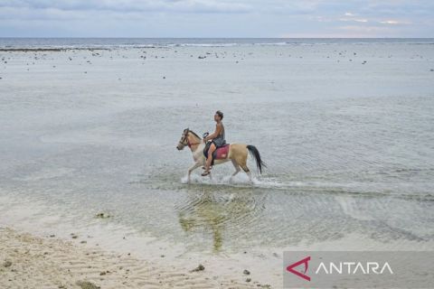 Menunggang kuda di Gili Trawangan, sensasi wisata dengan pemandangan pantai