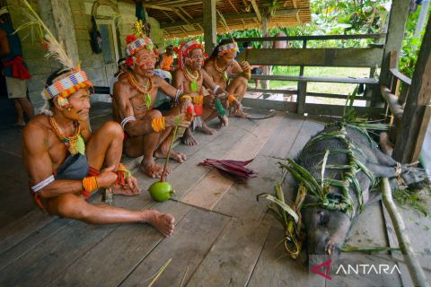 Melihat ritual upacara adat memperingati kematian di Mentawai