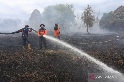 Pemadaman karhutla seluas tujuh hektar di Aceh Barat