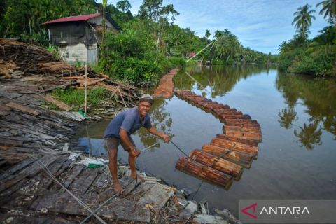 Melihat potensi sagu Mentawai, diolah menjadi makanan, tepung hingga pakan ternak lokal