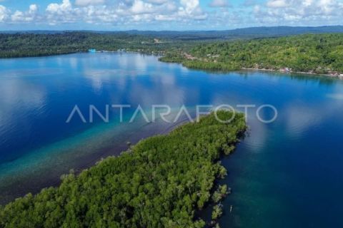 Potensi wisata mangrove Pulau Siberut Mentawai