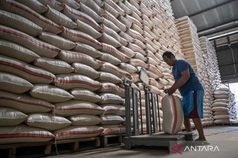 Stok beras melimpah di gudang Bulog, yang tertinggi sejak tahun 1969