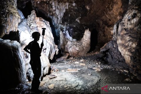 Mengunjungi situs geologi purba Gua Petruk Kebumen