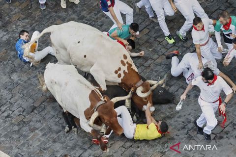 Peserta diseruduk banteng mewarnai atraksi Festival San Fermin di Spanyol