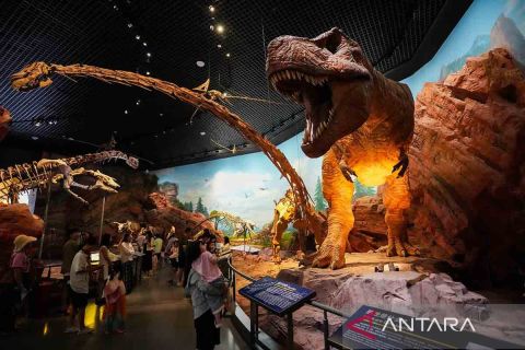 Menengok koleksi Museum Fosil Chengjiang di China