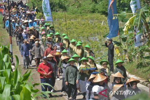 Promosikan kopi robusta, warga gelar Festival Kopi Gemawang 2025 di Temanggung