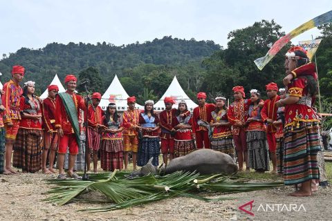 Warga Lindu Sulawesi Tengah gelar syukuran dengan ritual Mentimbe