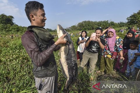 Mempertahankan tradisi bekarang di Muaro Jambi