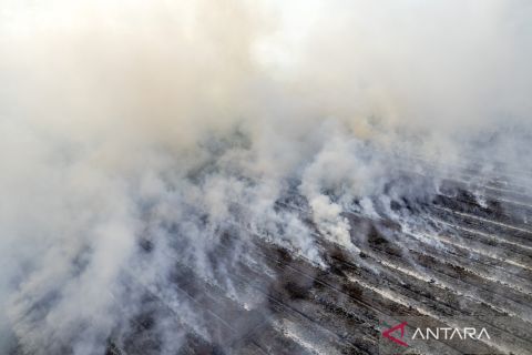 Karhutla di Muaro jambi hanguskan 70 hektare lahan gambut