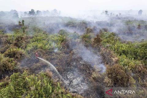 Bencana karhutla, sekitar 245 hektare lahan gambut di Jambi hangus terbakar dalam empat hari terakhir