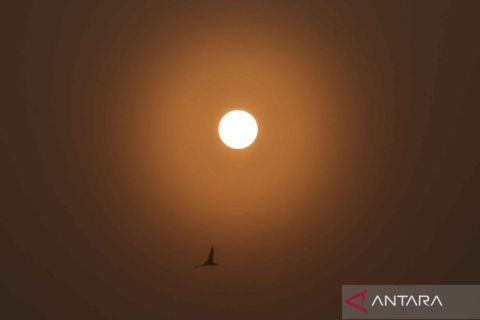 Karhutla Muaro Jambi meluas, api melahap ratusan hektare lahan