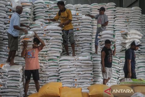 Indonesia surplus beras, stok nasional tembus 4,2 juta ton
