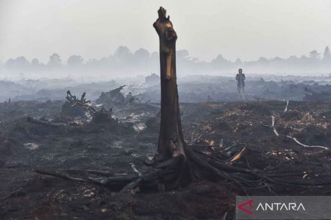 Warga membantu memadamkan api untuk antisipasi perluasan karhutla di Muaro Jambi
