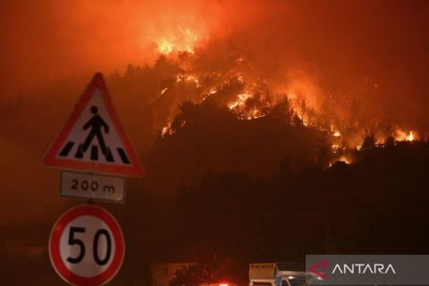 Kebakaran hutan juga terjadi di beberapa kawasan di Turki