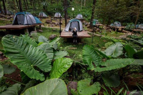 Healing in the Jolotundo pine forest