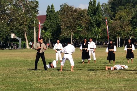 Kapolda Bali peragakan Kempo, tunjukkan kesiapan Kejuaraan Dunia Kempo