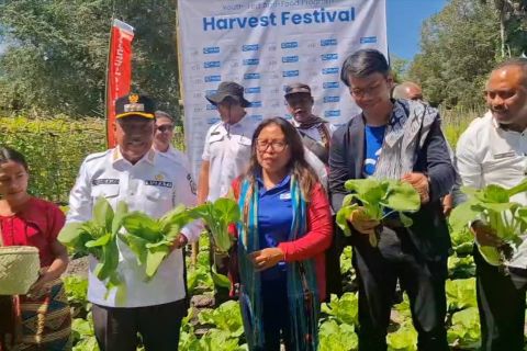 Kontribusi petani muda NTT dukung ketahanan pangan dan program MBG