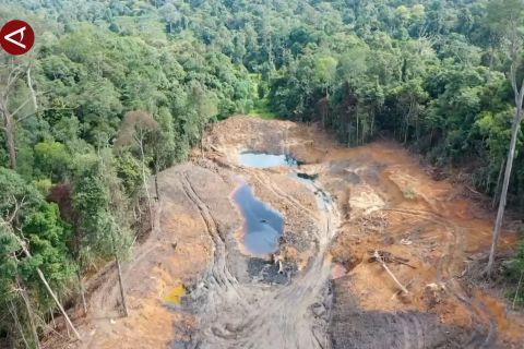 Skema hutan sosial bantu upaya reforestasi di Kaltim
